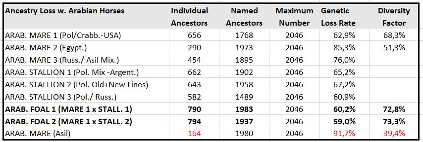 Ancestry Loss at Arabian Horses