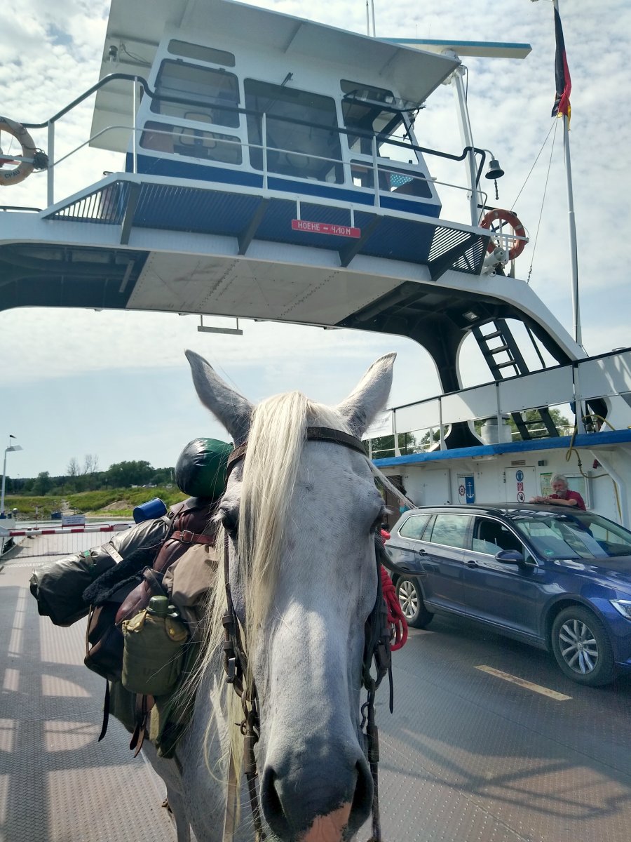 Fhre Tanja mit
        Pferd