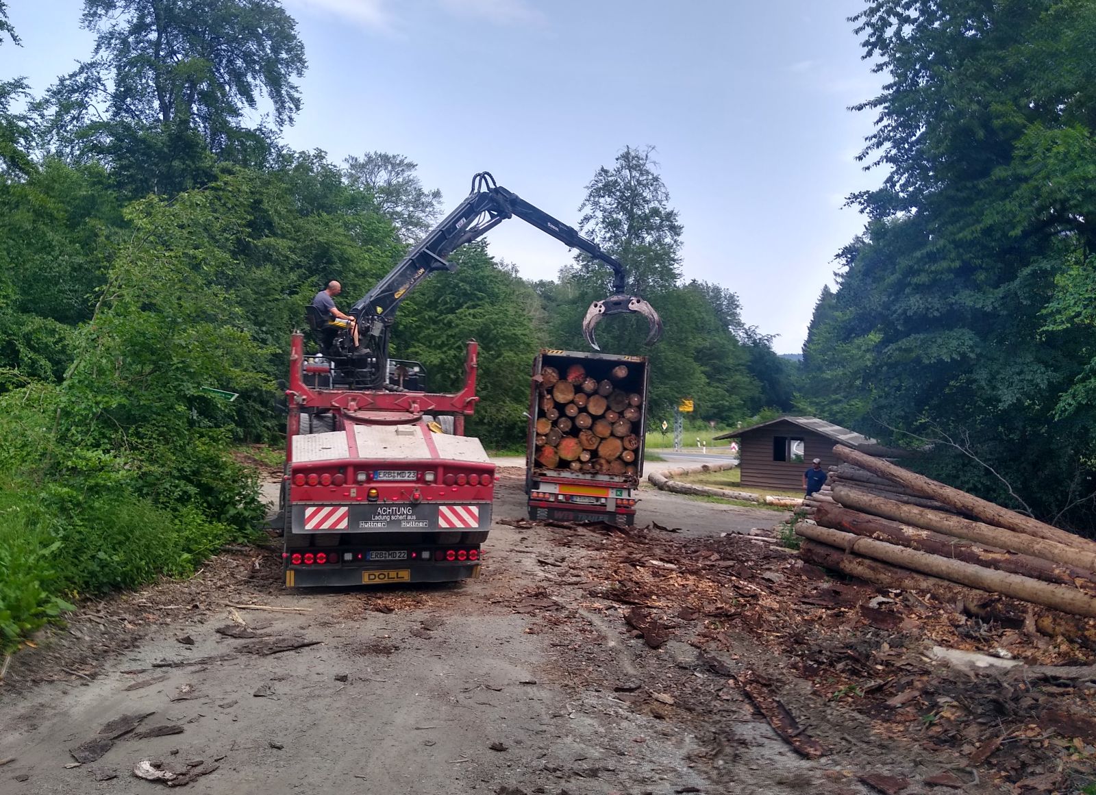 Holzverladung Container