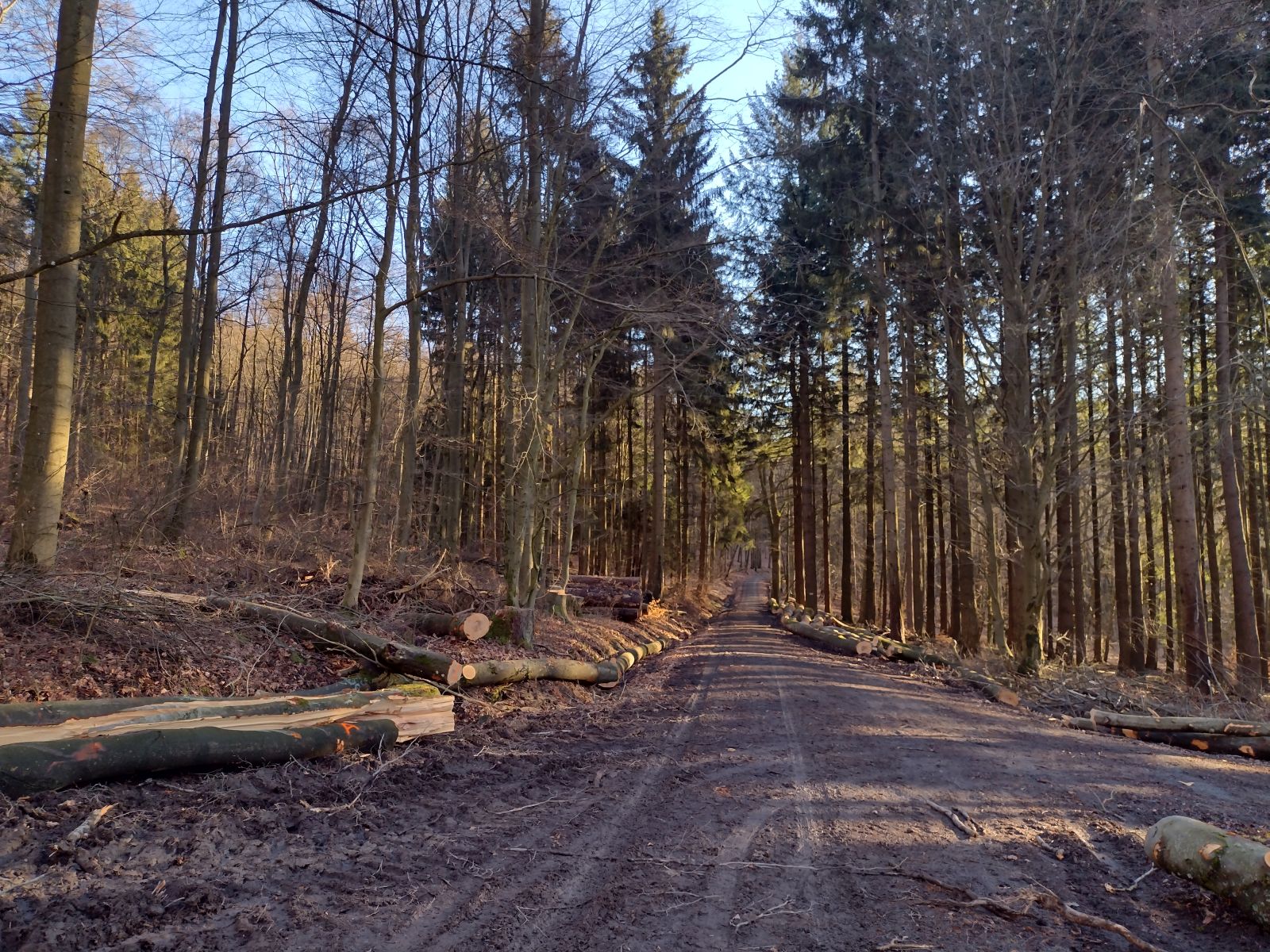 Buchenschlachten Waldems